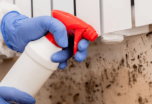 Mold Remediation Services for a Safe and Healthy Environment