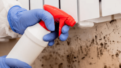 Mold Remediation Services for a Safe and Healthy Environment