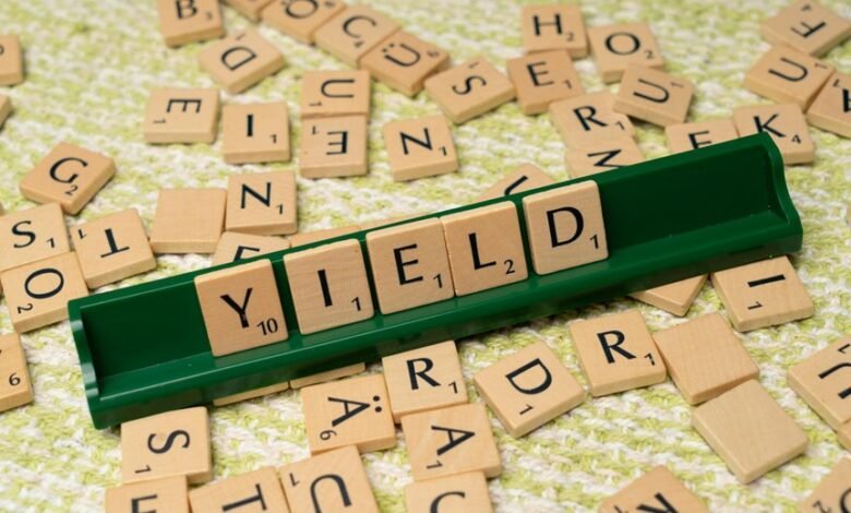 dividend yield investment group