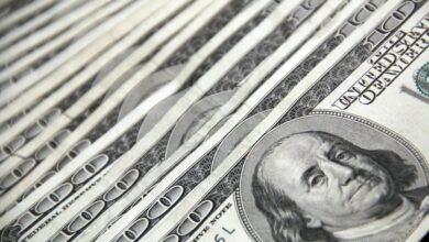 hsbc multi cap investment fund