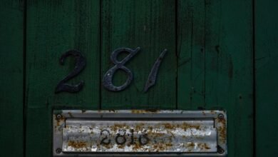 exploring numerical identification details