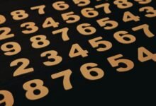 number identification and analysis