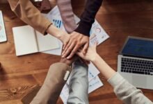 sustainable business bookkeeping guide