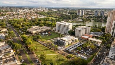 multi region identifier report