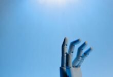 innovation and growth potential