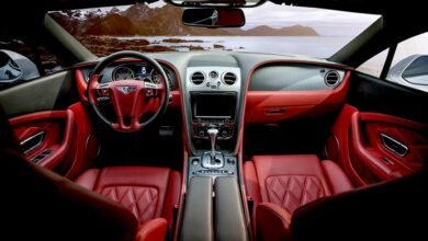 sector performance evaluation insights