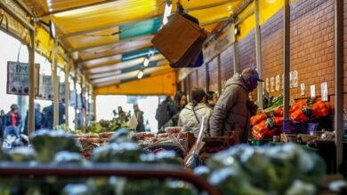 digital marketing strategy development