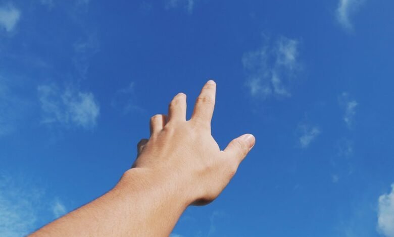 organic reach search optimization