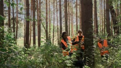 search optimization content strategy