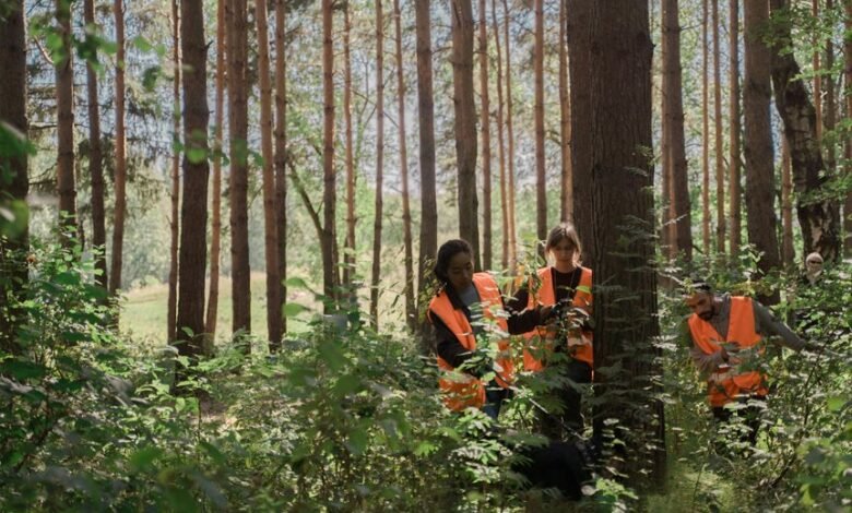 search optimization content strategy